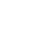 View AUCTIONS